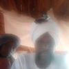 user57763252688066