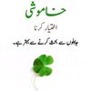 asif.maqsood645