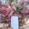 zabed262