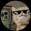 phomesint676