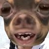 wanwisa.thonthan
