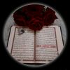 user5049024416517