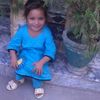 qasimkhan9446