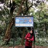 lovesignaldiverted