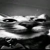 mim0mm00