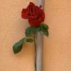 ashwaq19990