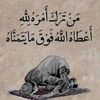 ebralhm23