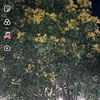 a0553405hy9