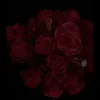 nermix_349