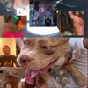 kittycatlover15