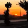 abu.shihab43
