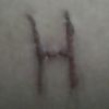 Hamza Malik