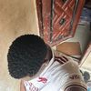abdul__halimm