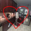 brooklyn_thompson14