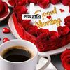md.raihan8635