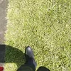 david_ramos057