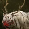 error.cat1