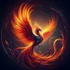 user409781223