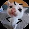 miu.miu1430