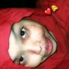 nimcoqueen031