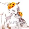 gwenishere67