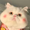 unboxwithdao