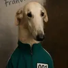 Galgo