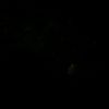 t2153514