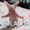 renatusprikitiw.nylr0