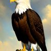 user4474105270962