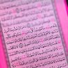 noursin_7