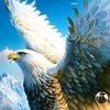 murat.ylmaz3795