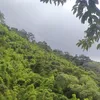 vinh3326