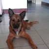 user3636819216261