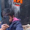 asad01824