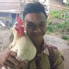 mas.agoes81