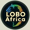 Lobo Africa Company Ltd