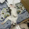 ti.yu.mn.mo