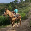 boiadeiro12346306