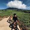 alvindo.purna.pratama