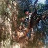 didou28685