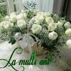 camelia.ioni11