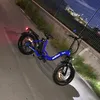grimaldi_pasquale.13