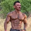 tiringa musculento