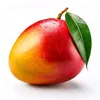 _mango.pt