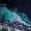 assaf_raymond
