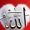 فاطمة يوسف حامد