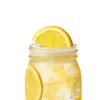 lemonade_guyarv