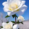user791980082