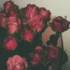 h_oare.1